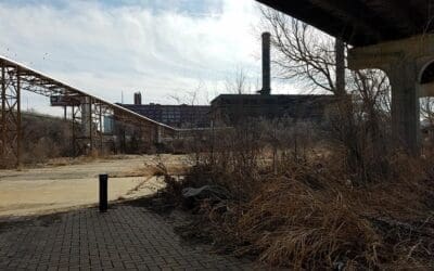 What Type of Exclusive Session Do You Want?